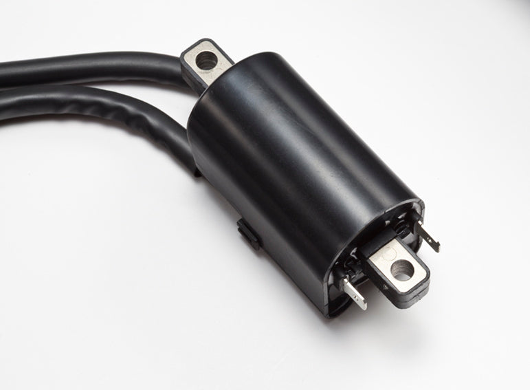 12- Volt Dual Lead Ignition Coil